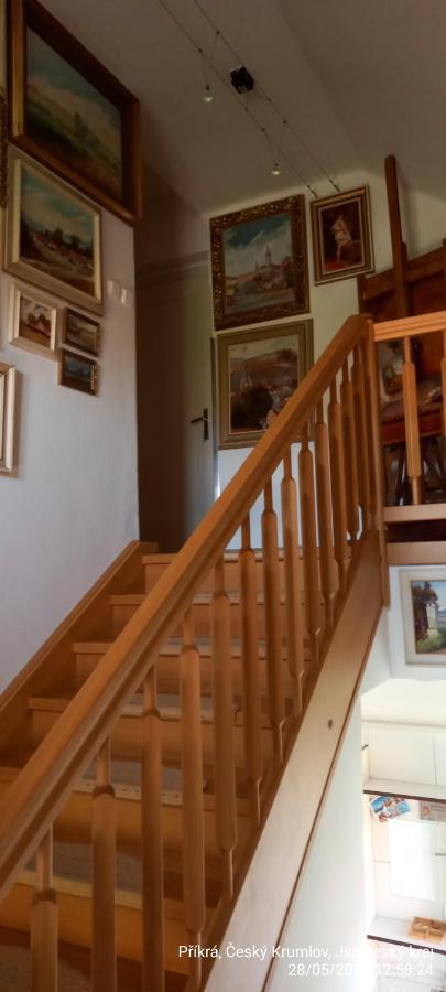 Appartement Vila Hesha à Český Krumlov Extérieur photo
